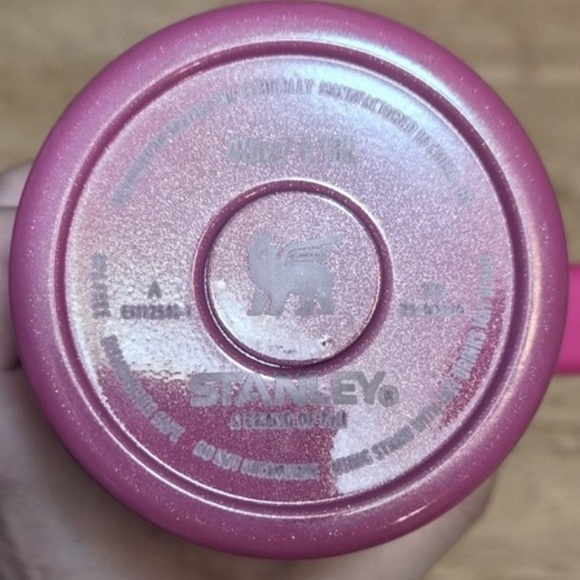 Strawberry Shortcake x Stanley quencher water bottle cup loveshackfancy - Picture 4 of 4